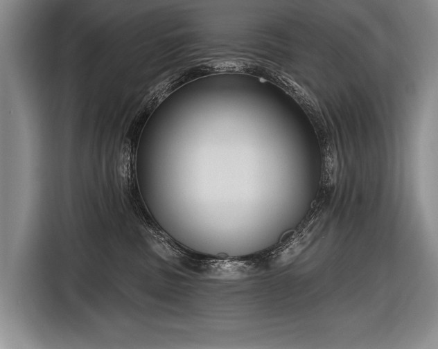 X0000116570379200912171509