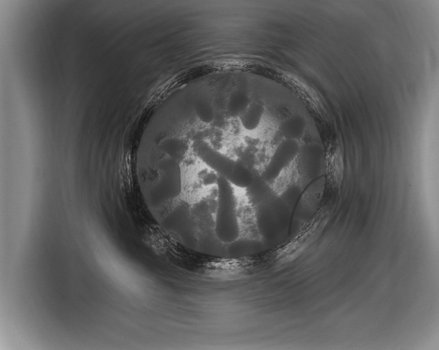 X0000116570381200912171509