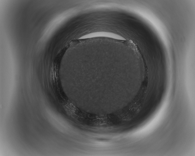 X0000116570382200912171509