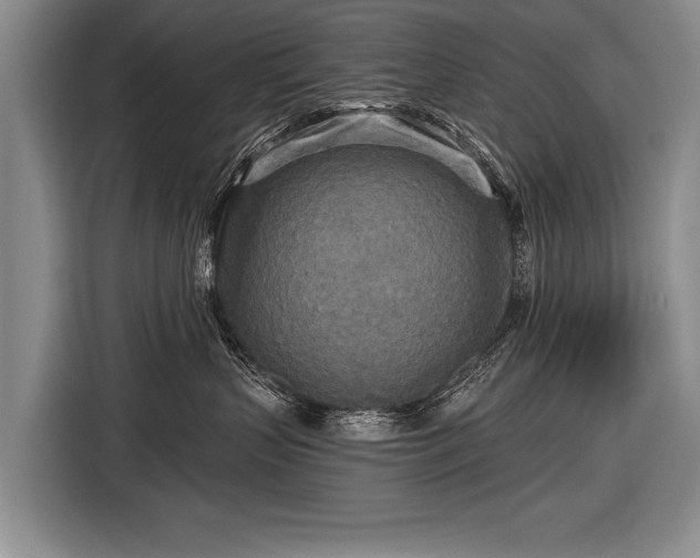 X0000116570383200912171509