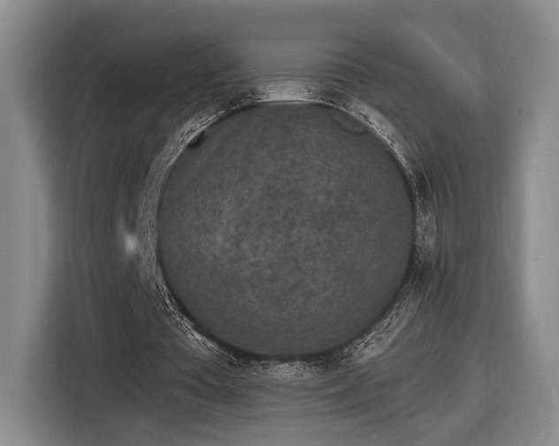 X0000116570385200912171508