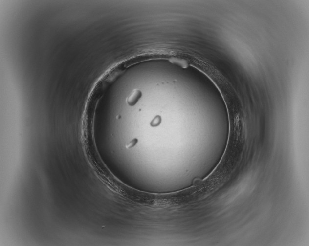 X0000116570388200912171508