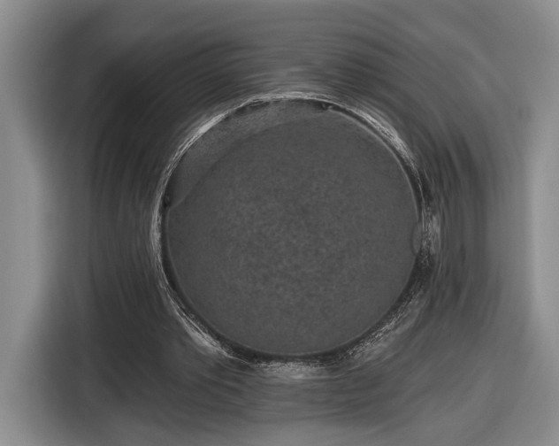 X0000116570389200912171508