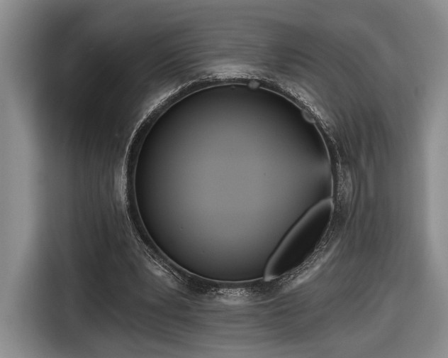 X0000116570391200912171508