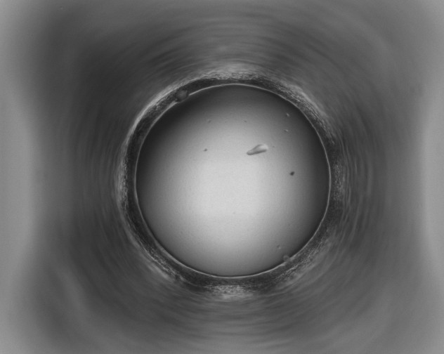 X0000116570392200912171508