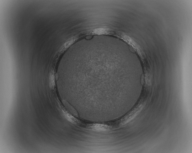 X0000116570393200912171508