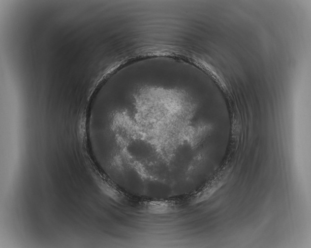 X0000116570394200912171508