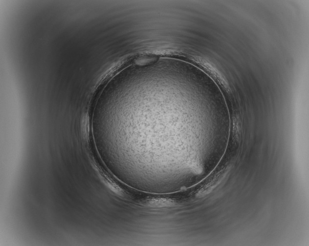 X0000116570397200912171508