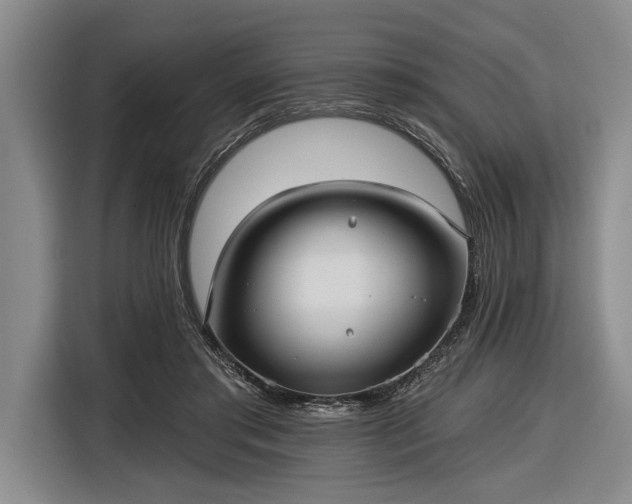 X0000116570405200912171508