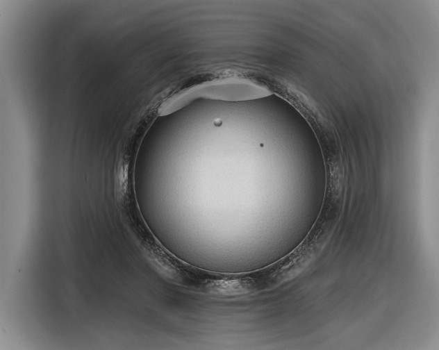 X0000116570406200912171508