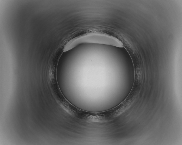 X0000116570408200912171508