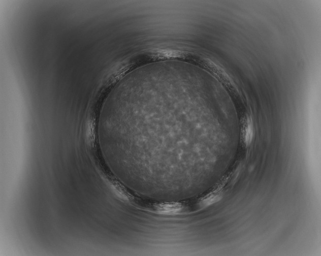 X0000116570410200912171508