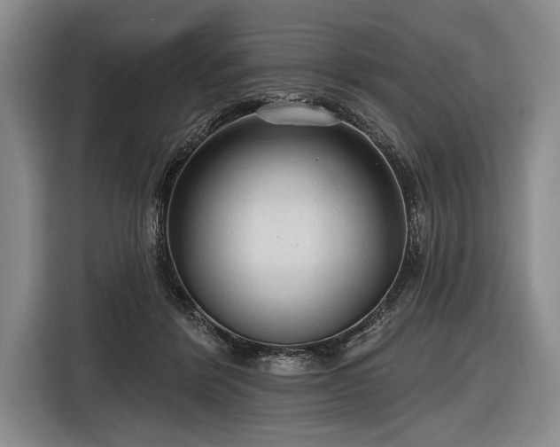 X0000116570412200912171508