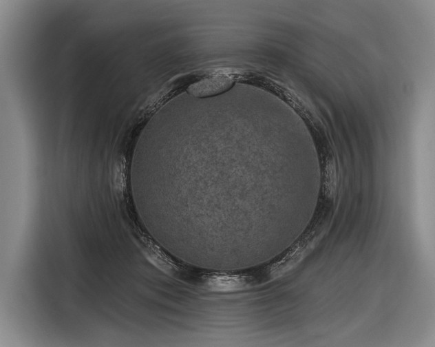 X0000116570413200912171508