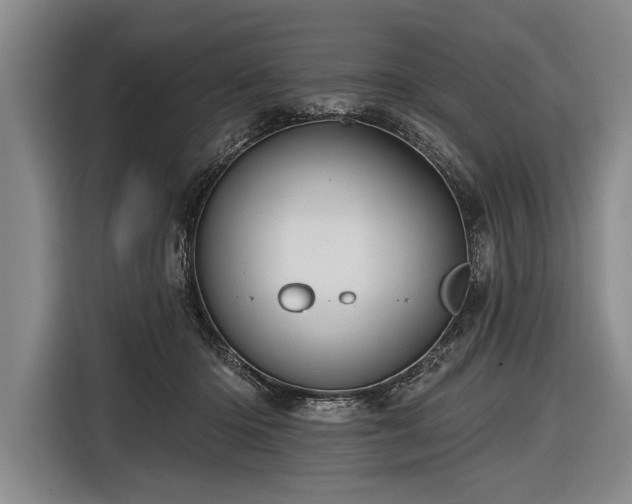 X0000116570414200912171508