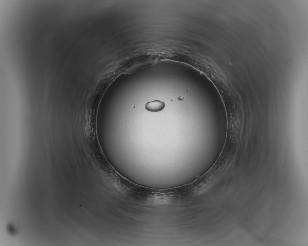 X0000116570416200912171508