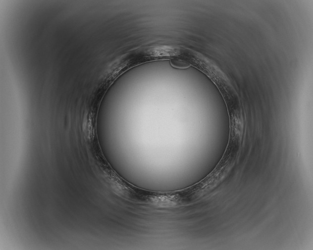 X0000116570422200912171507