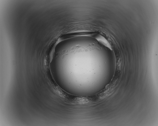 X0000116570424200912171507