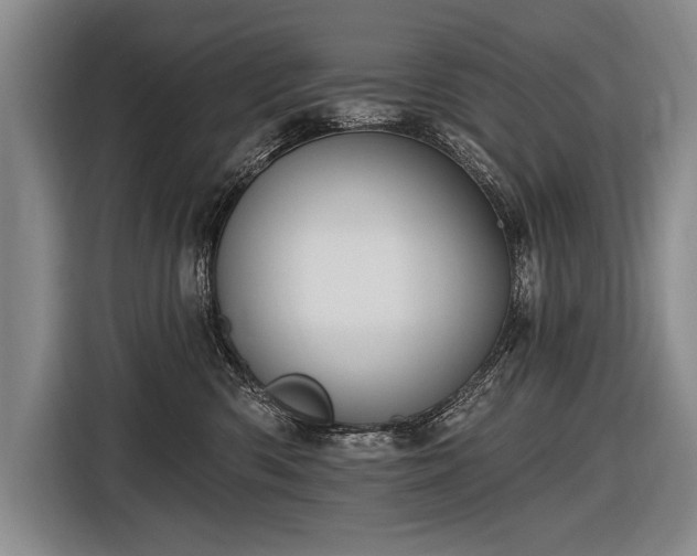 X0000116570426200912171507