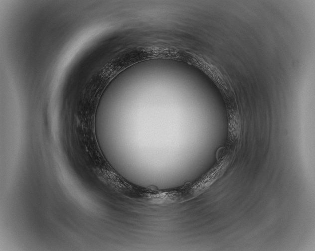 X0000116570430200912171507