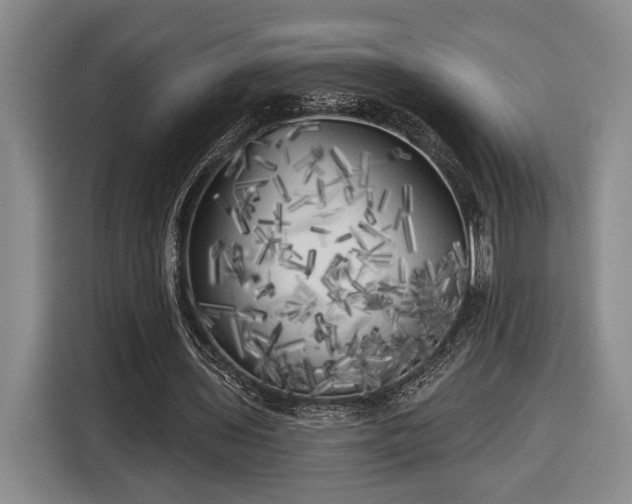 X0000116570435200912171507