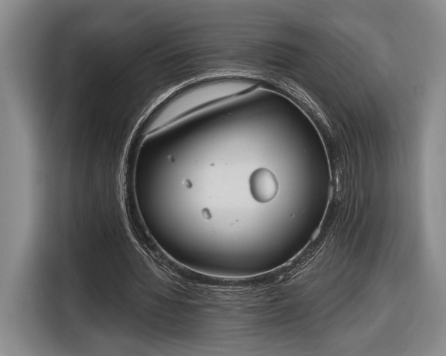 X0000116570436200912171507