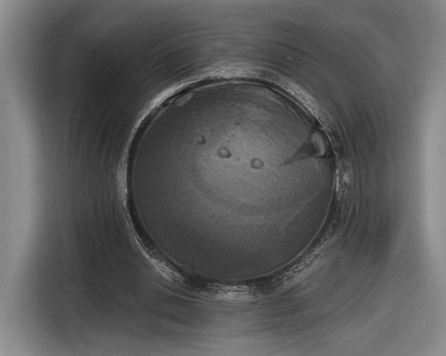 X0000116570438200912171507