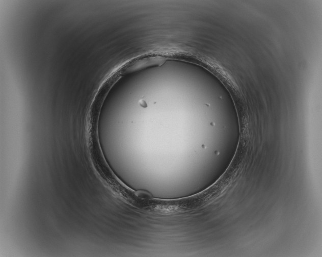 X0000116570440200912171507