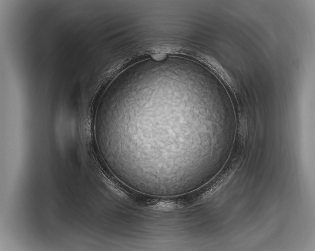 X0000116570441200912171507