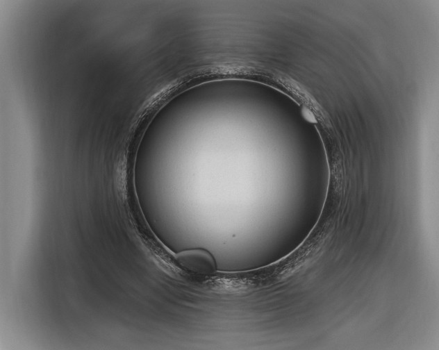 X0000116570442200912171507