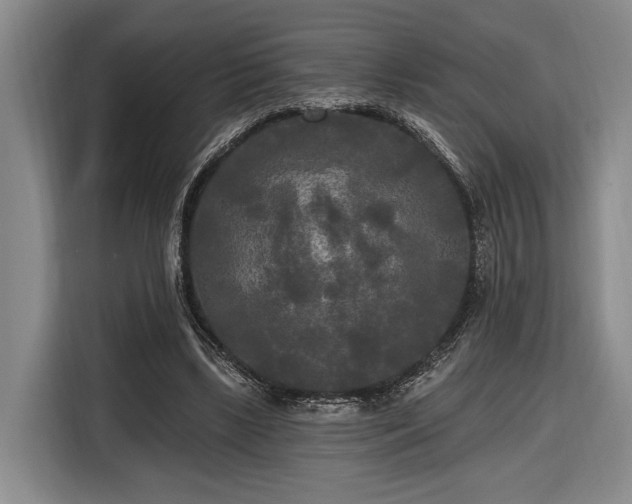 X0000116570443200912171507