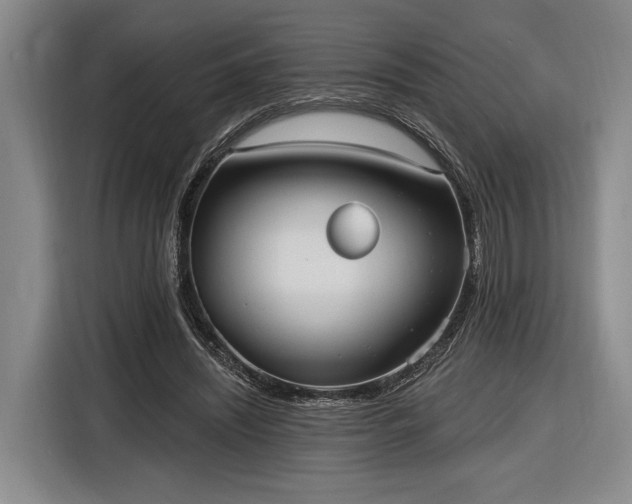 X0000116570444200912171507