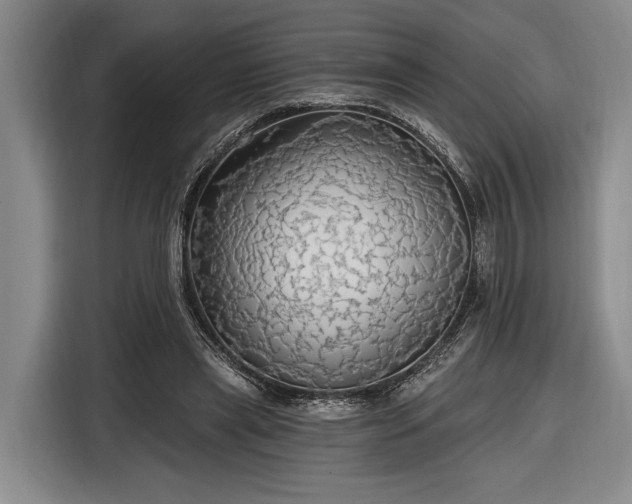 X0000116570445200912171507