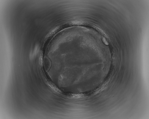 X0000116570446200912171507