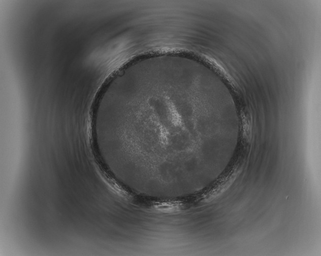 X0000116570447200912171507