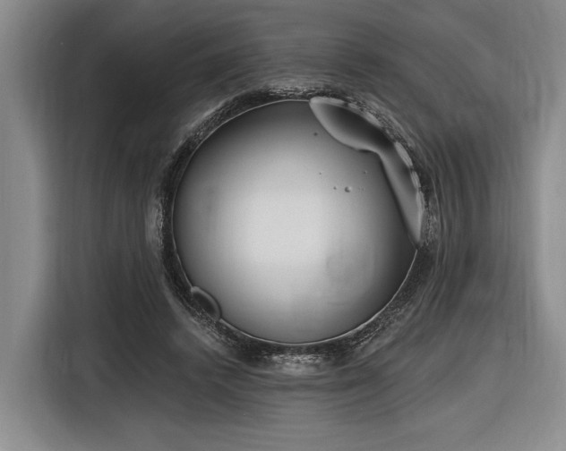 X0000116570448200912171507