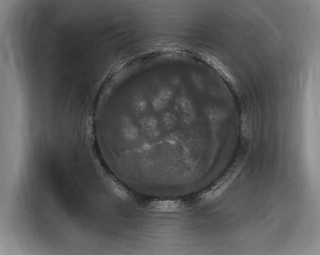 X0000116570449200912171507