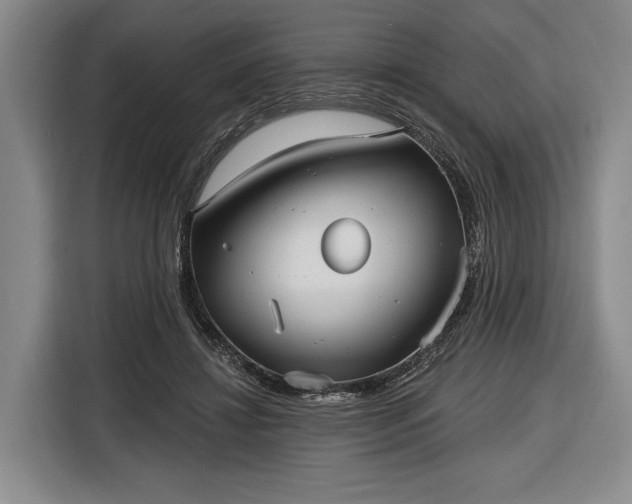 X0000116570452200912171507