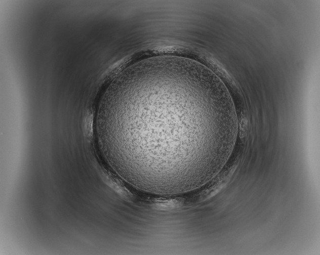 X0000116570454200912171507