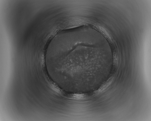 X0000116570457200912171507