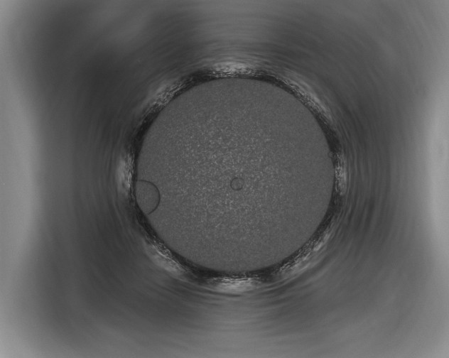 X0000116570458200912171507