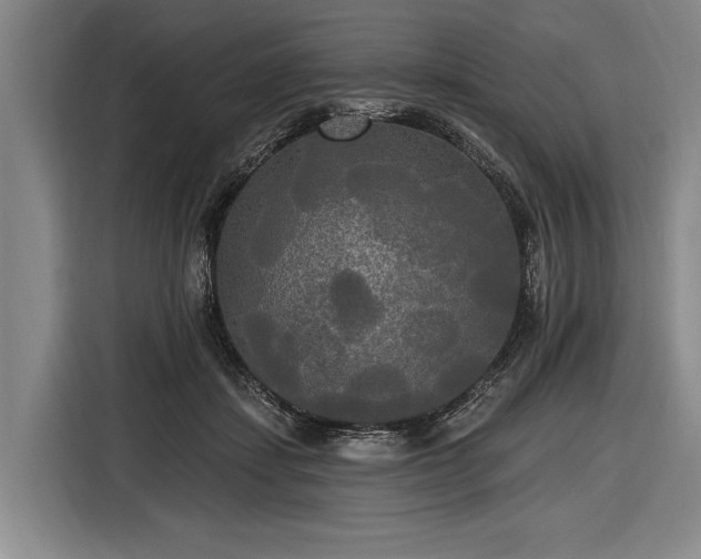 X0000116570459200912171507