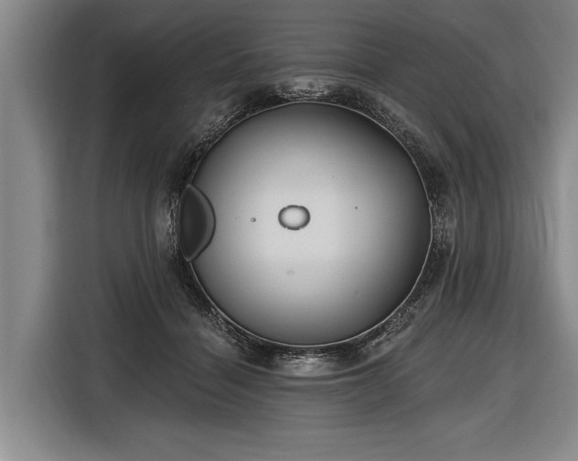 X0000116570460200912171507