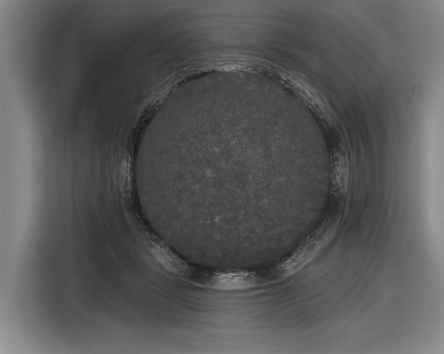 X0000116570461200912171507