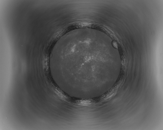 X0000116570462200912171507