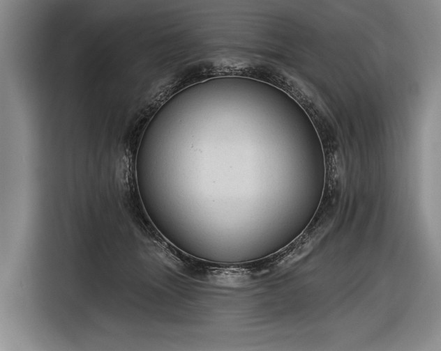 X0000116570463200912171507