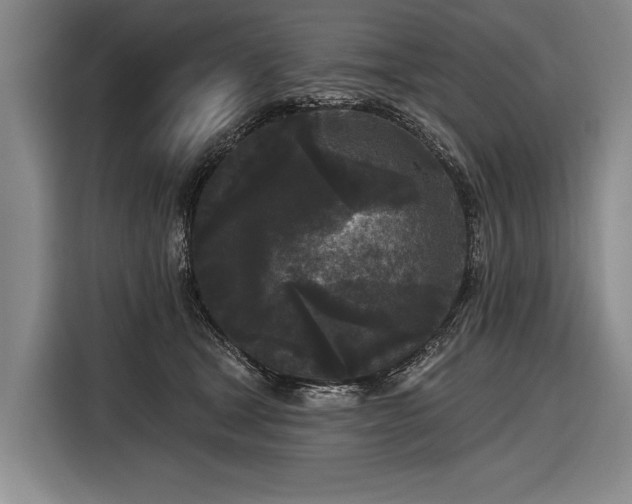 X0000116570465200912171507