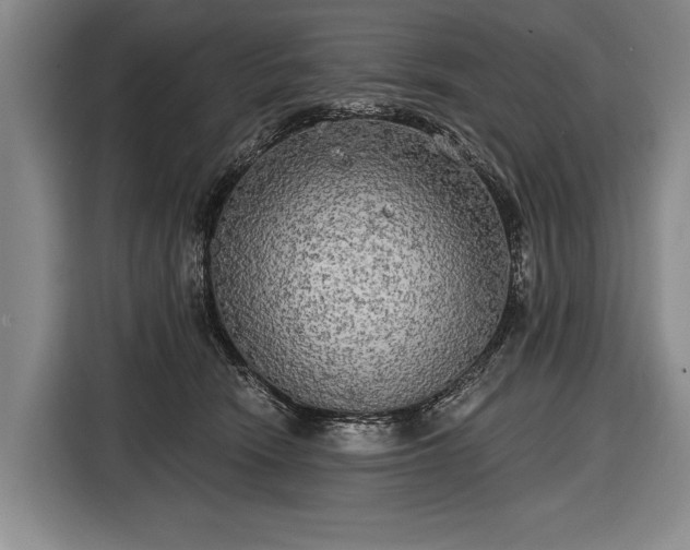 X0000116570466200912171507