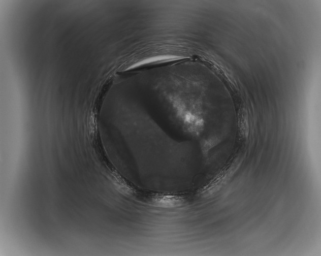 X0000116570467200912171507