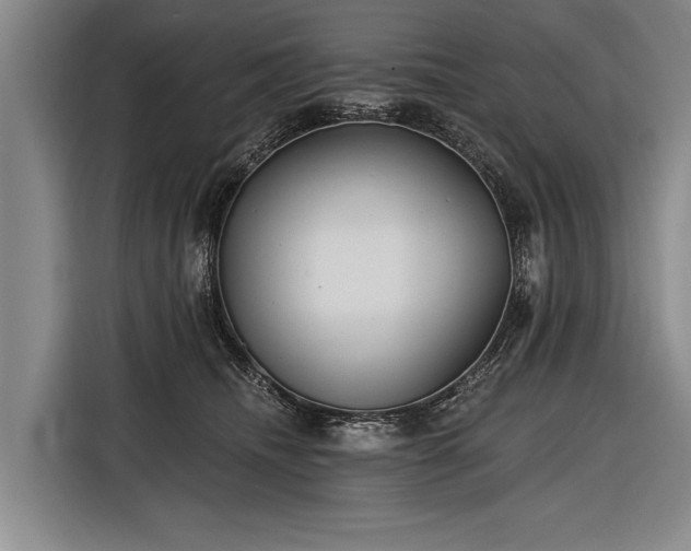 X0000116570468200912171507